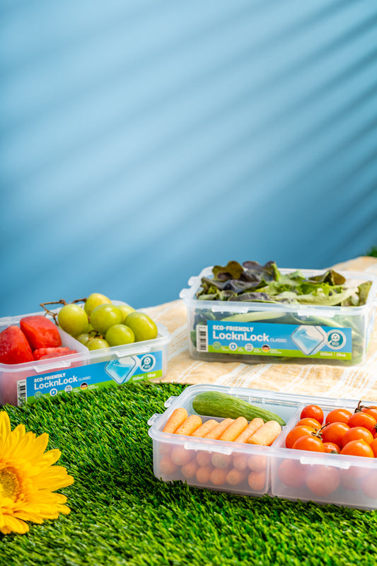 LocknLock Eco-Friendly Classic Food Containers ReNew