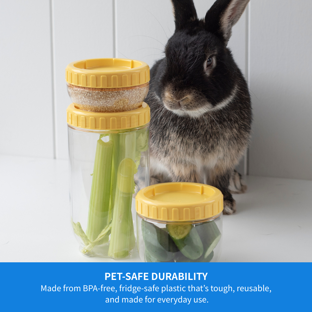 LocknLock for Pets Wet Pet Food & Treat Container 180ml