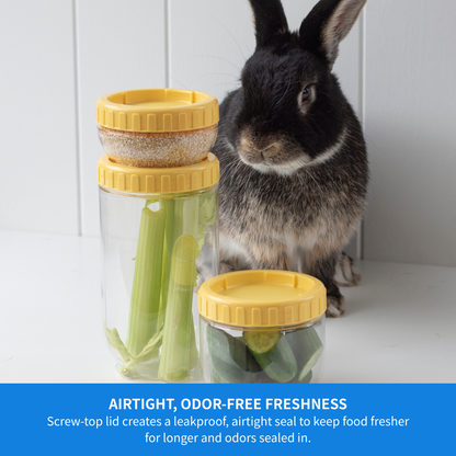 LocknLock for Pets Wet Pet Food & Treat Container 1L