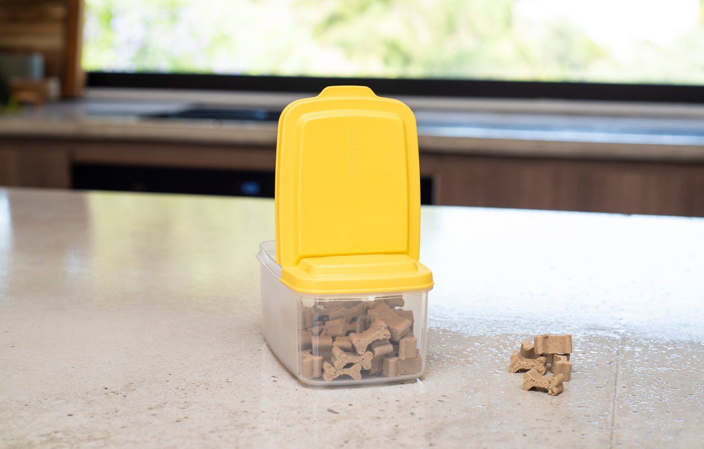 LocknLock for Pets Dry Pet Food Container 750ml