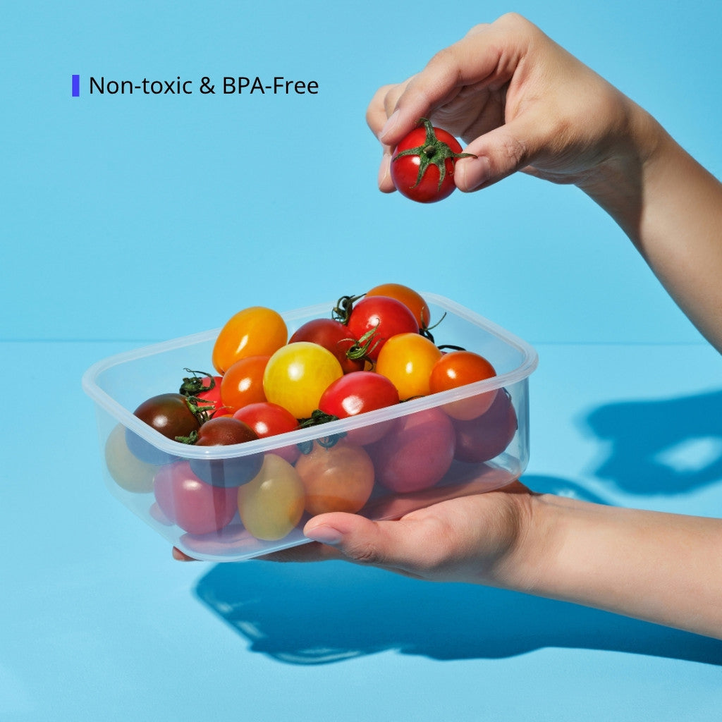 LocknLock Fresh Classic Plus Airtight Container